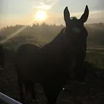 Фермерский дом Folwark Pod Debem