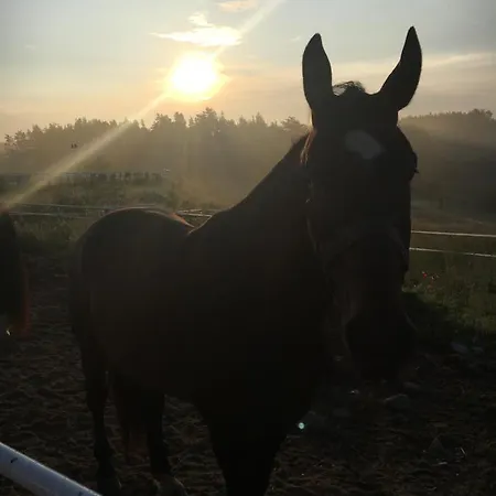 Agroturismo Folwark Pod Debem